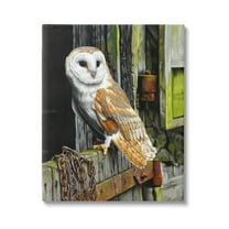Stupell Industries Owl Perched on Barn Door Animals & Insects Painting Gallery Wrapped Canvas Print Wall Art, 16 x 20