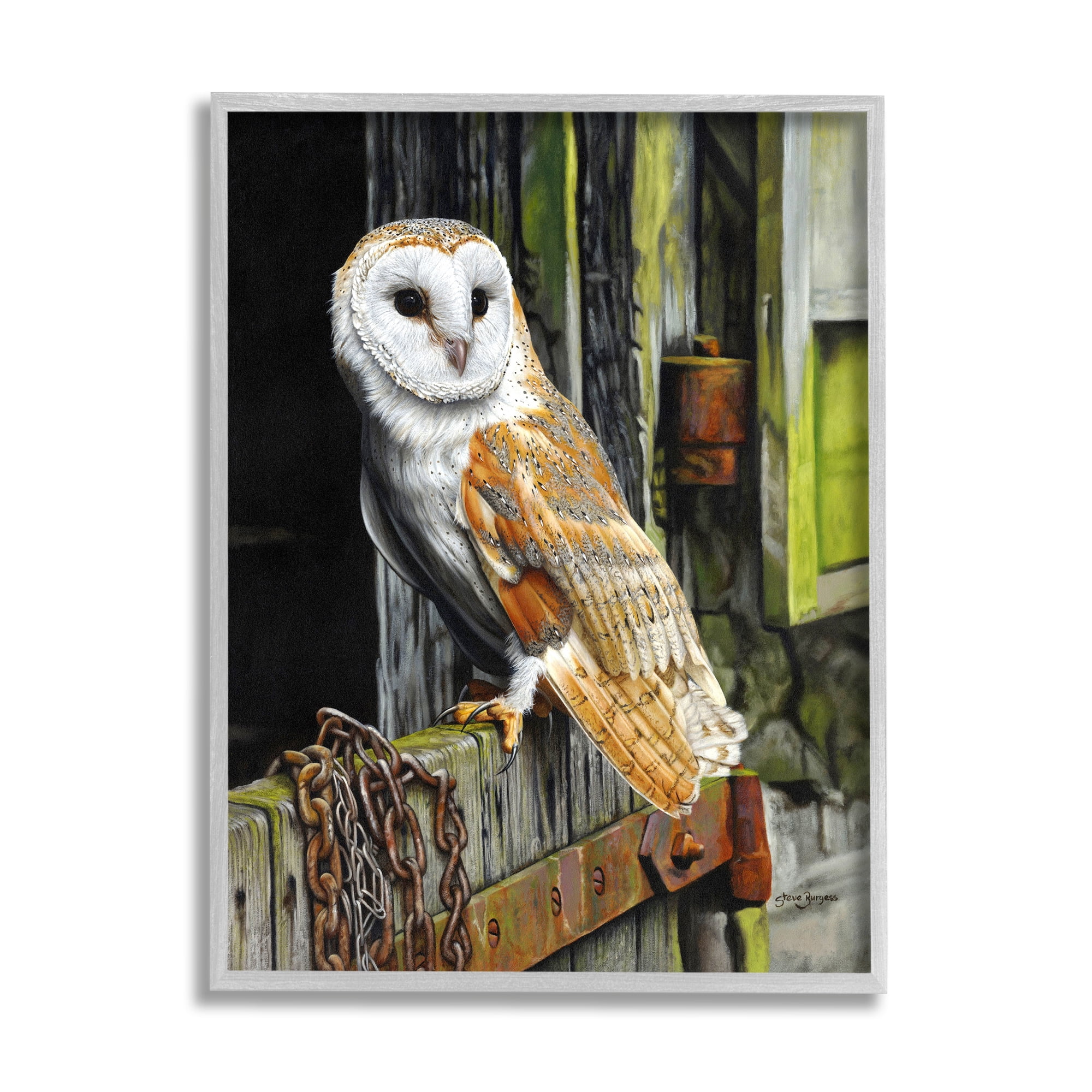Stupell Industries Owl Perched on Barn Door Animals & Insects Painting Gray Framed Art Print Wall Art, 11 x 14