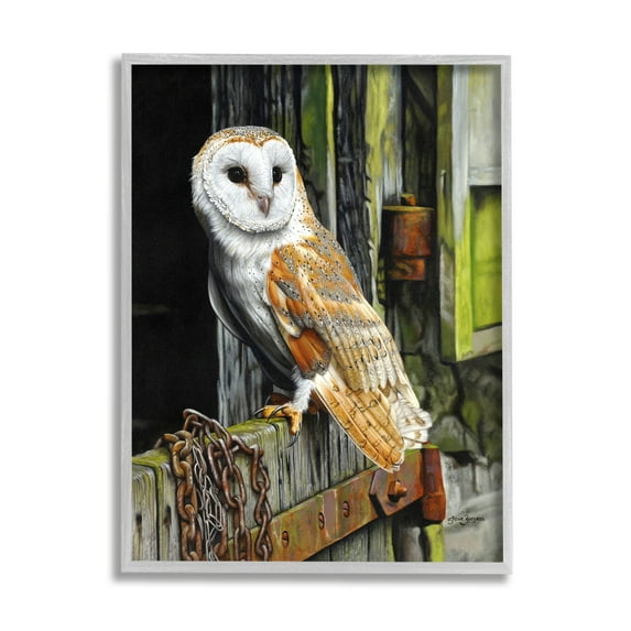 Stupell Industries Owl Perched on Barn Door Animals & Insects Painting Gray Framed Art Print Wall Art, 24 x 30