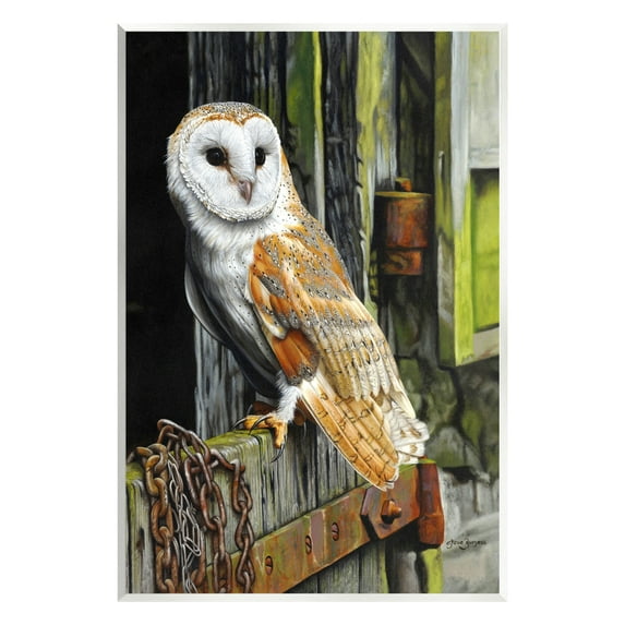 Stupell Industries Owl Perched on Barn Door Animals & Insects Painting Unframed Art Print Wall Art, 13 x 19