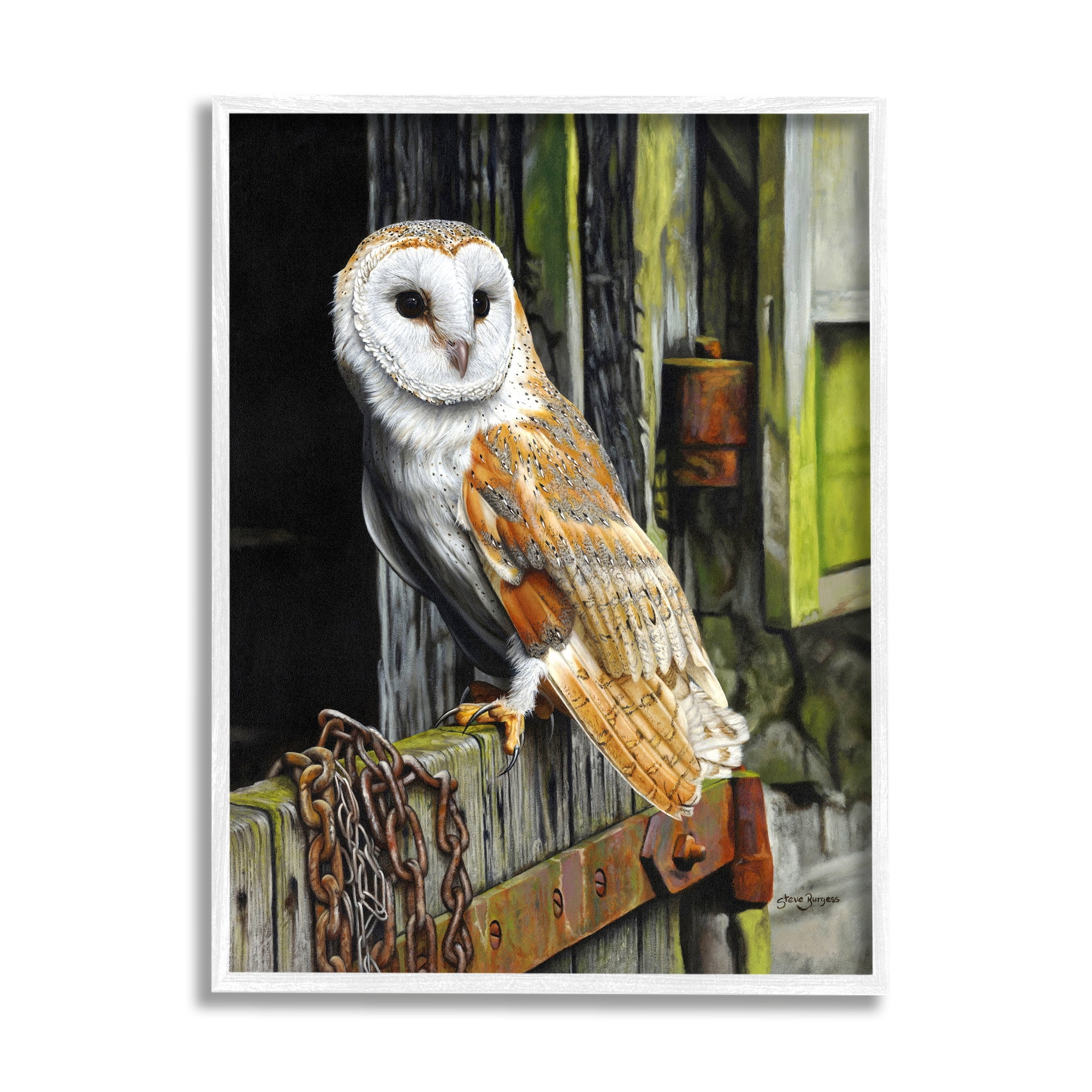 Stupell Industries Owl Perched on Barn Door Animals & Insects Painting White Framed Art Print Wall Art, 11 x 14