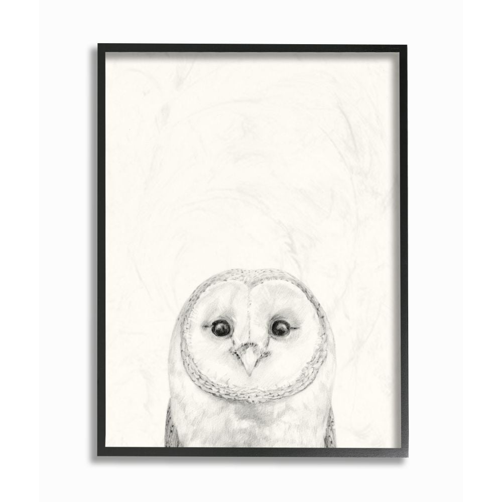 16x20 Black Framed Abstract Owl Canvas Print