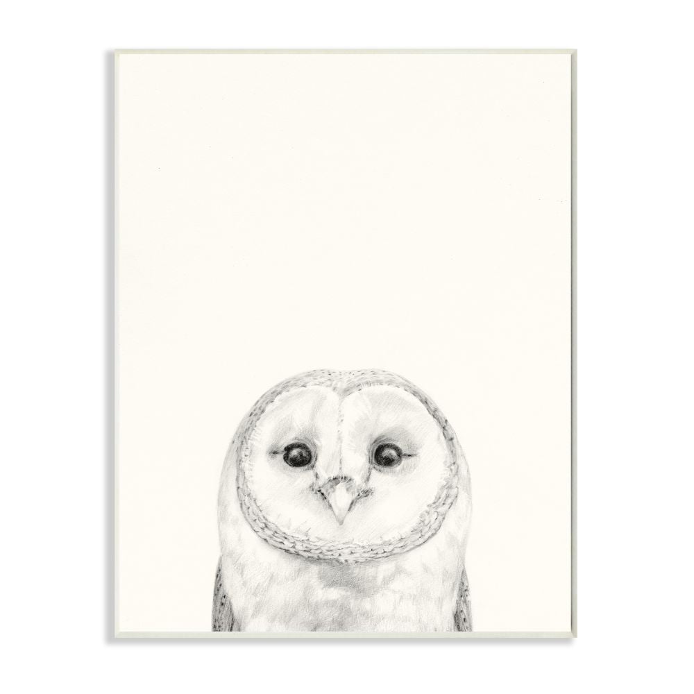 Stupell Industries Owl Portrait Grey Drawing Design Wall Plaque by Victoria Borges