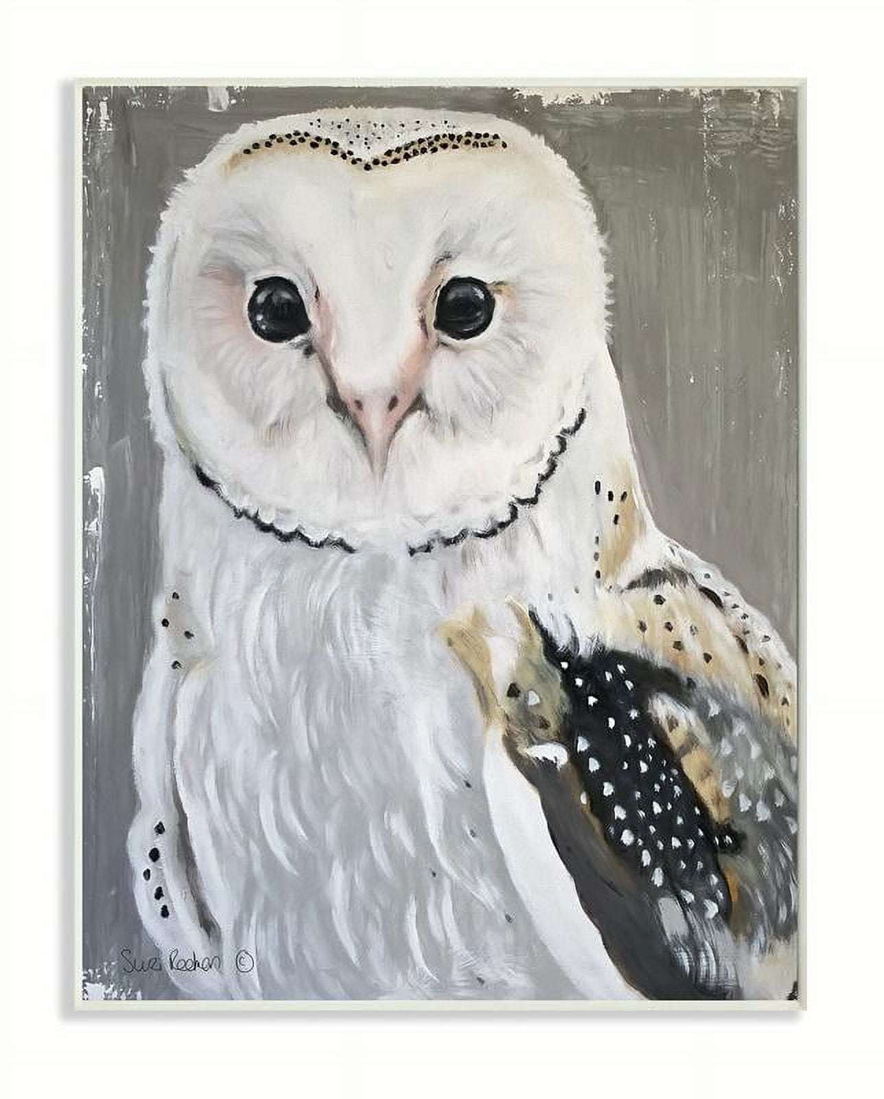 Stupell Industries Owl Portrait White Gray Animal Painting Wood Plaque by Suzi Redman