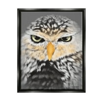 Stupell Industries Owl Wildlife Portrait Animals & Insects Painting Black Floater Framed Art Print Wall Art, 17 x 21