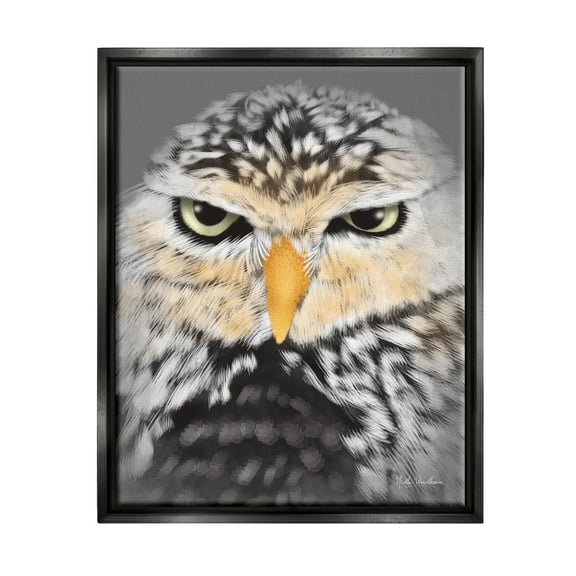 Stupell Industries Owl Wildlife Portrait Animals & Insects Painting Black Floater Framed Art Print Wall Art, 17 x 21