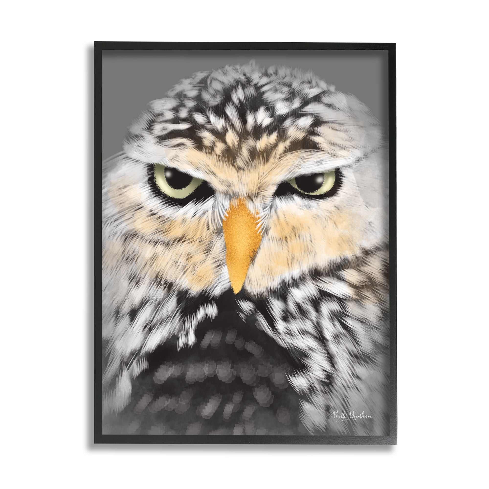 Stupell Industries Owl Wildlife Portrait Animals & Insects Painting Black Framed Art Print Wall Art, 16 x 20