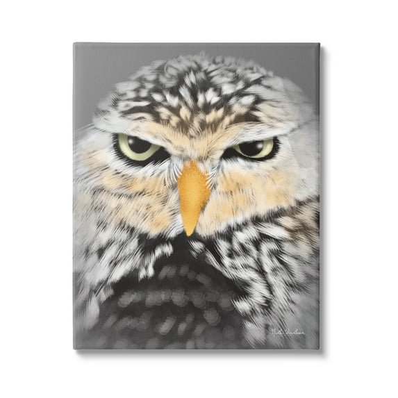 Stupell Industries Owl Wildlife Portrait Animals & Insects Painting Gallery Wrapped Canvas Print Wall Art, 16 x 20
