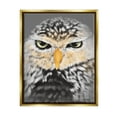 thumbnail image 1 of Stupell Industries Owl Wildlife Portrait Animals & Insects Painting Gold Floater Framed Art Print Wall Art, 25 x 31, 1 of 10