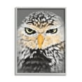 thumbnail image 1 of Stupell Industries Owl Wildlife Portrait Animals & Insects Painting Gray Framed Art Print Wall Art, 16 x 20, 1 of 9