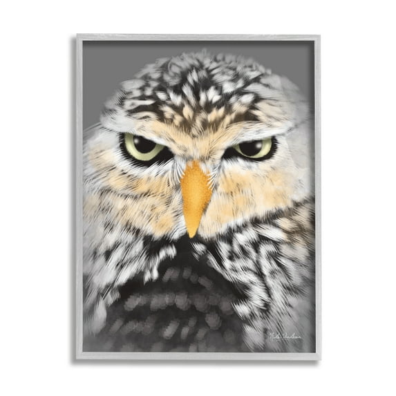 Stupell Industries Owl Wildlife Portrait Animals & Insects Painting Gray Framed Art Print Wall Art, 16 x 20