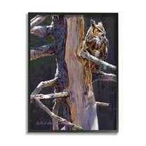 Stupell Industries Owl in Rustic Tree Animals & Insects Painting Black Framed Art Print Wall Art, 11 x 14