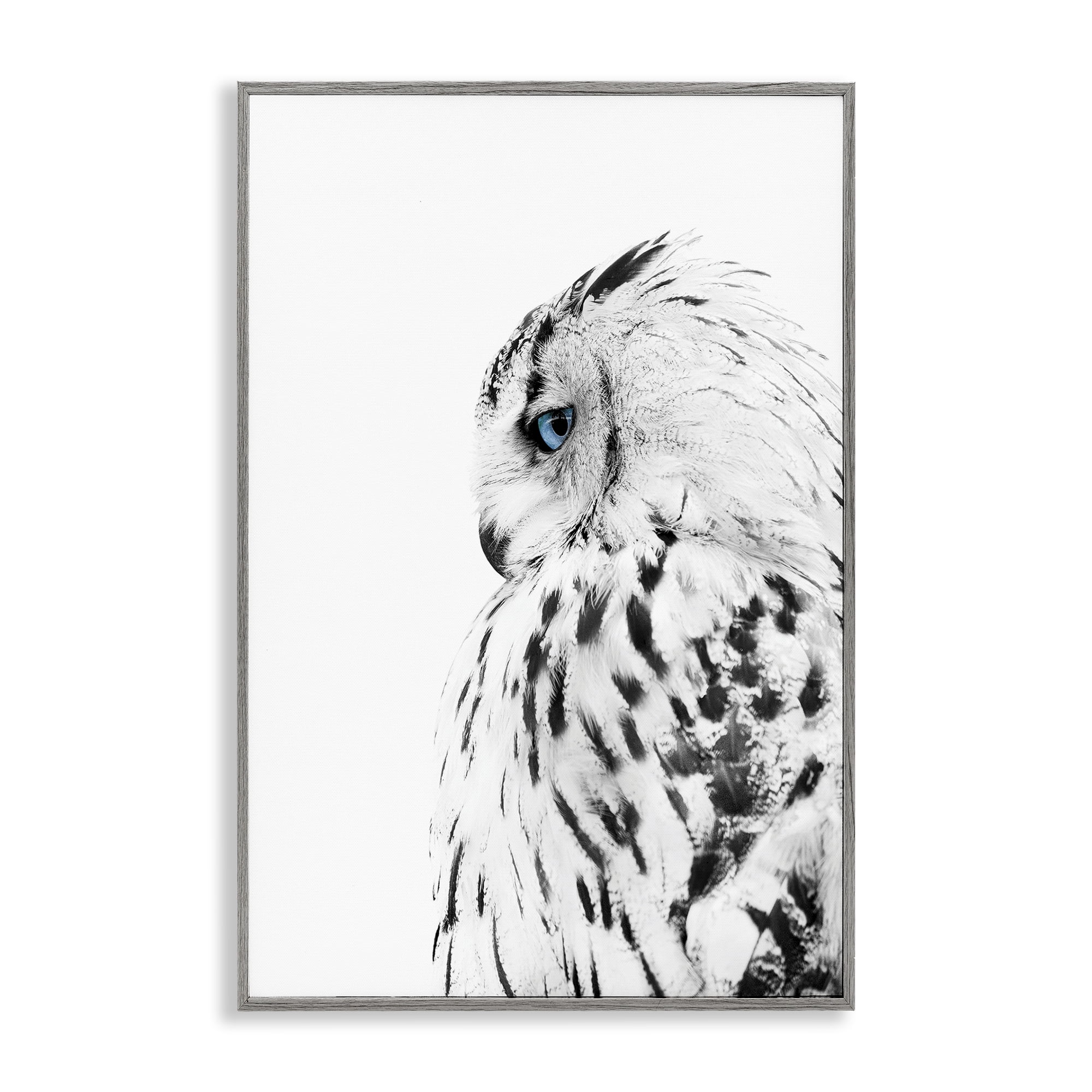 Stupell Industries Owl with Strong Blue Gaze Animals Painting Gray Framed Art Print Wall Art, 16 x 24