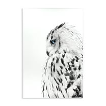 Stupell Industries Owl with Strong Blue Gaze Animals Painting Unframed Art Print Wall Art, 10 x 15