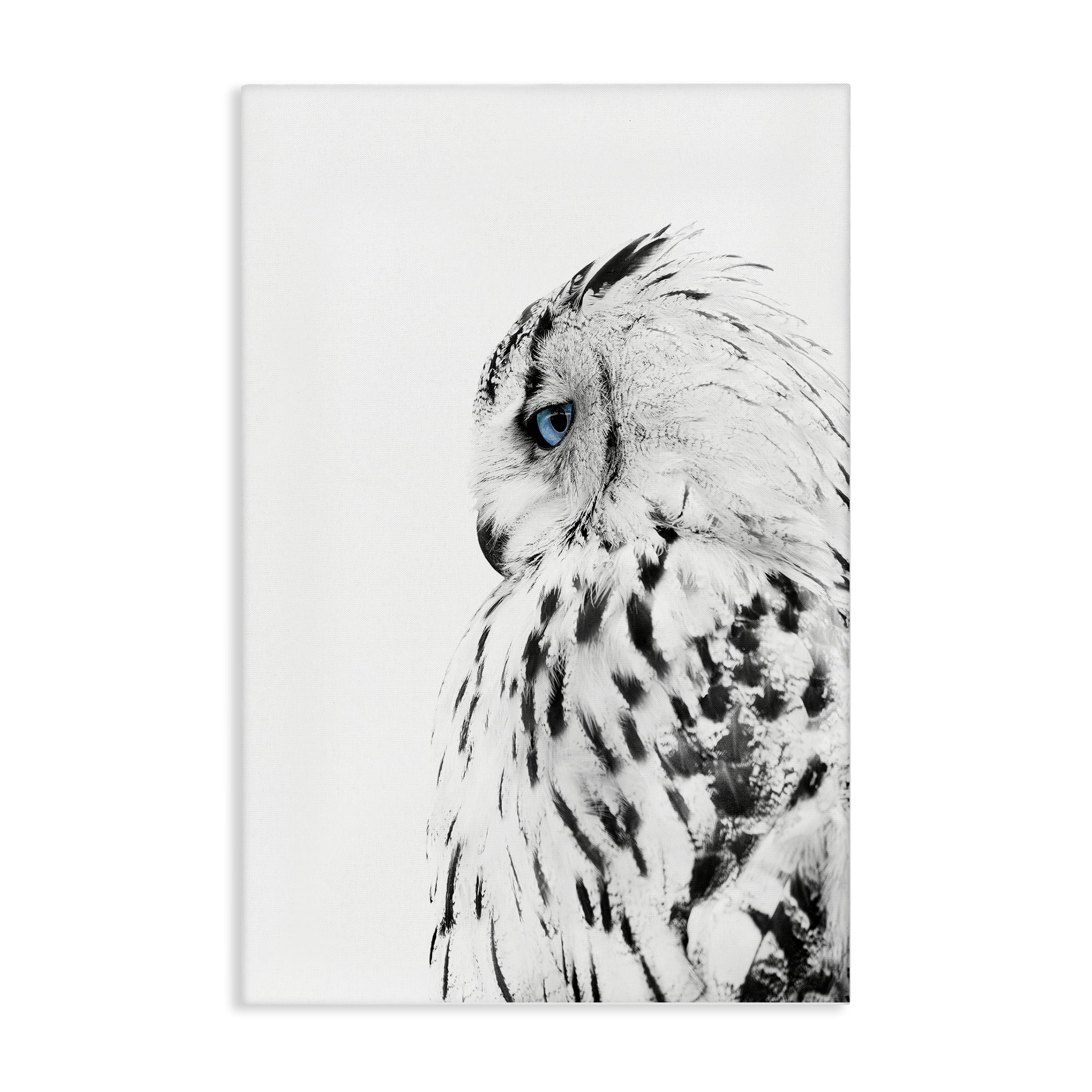 Stupell Industries Owl with Strong Blue Gaze Animals Painting Wrapped Canvas Art Print Wall Art, 24 x 36