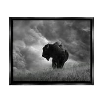 Stupell Industries Ox in Cloudy Landscape Animals & Insects Photography Black Floater Framed Canvas Art Print Wall Art, 21 x 17