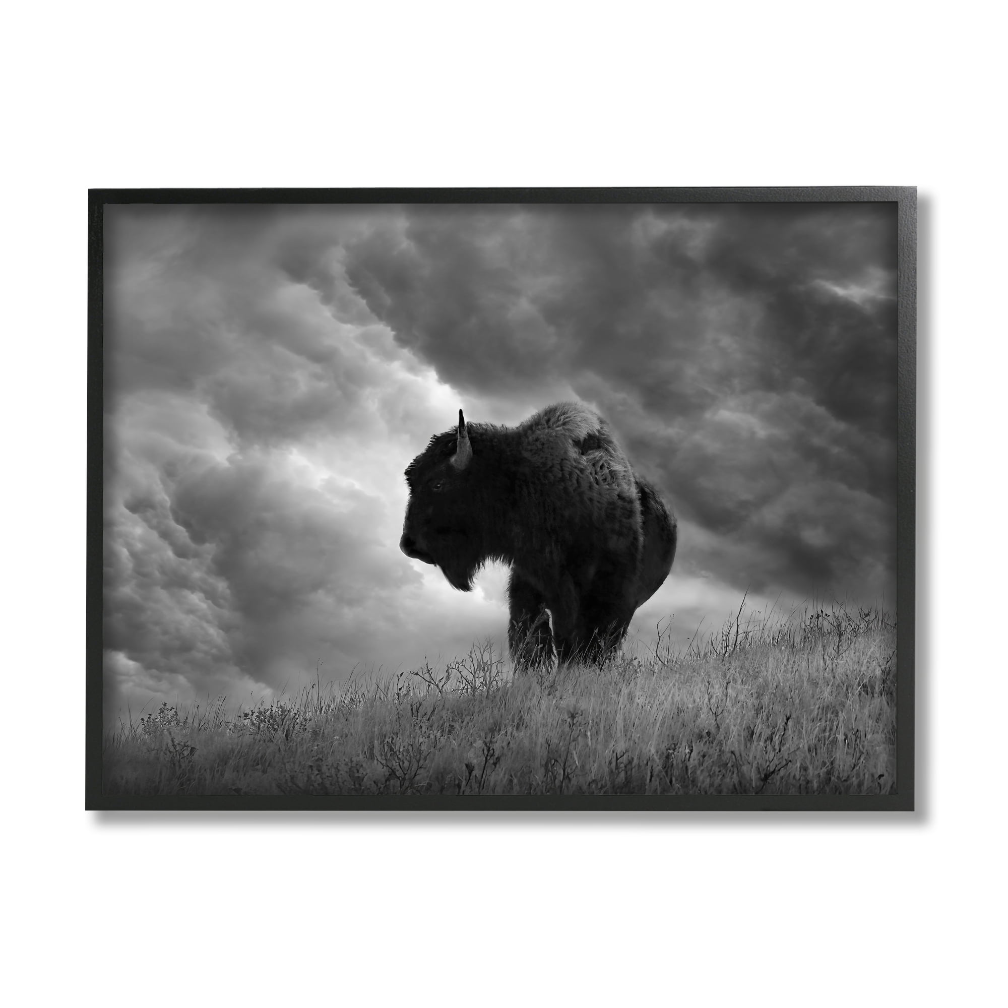 Stupell Industries Ox in Cloudy Landscape Animals & Insects Photography Black Framed Art Print Wall Art, 30 x 24