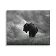 thumbnail image 1 of Stupell Industries Ox in Cloudy Landscape Animals & Insects Photography Gallery Wrapped Canvas Art Print Wall Art, 20 x 16, 1 of 8