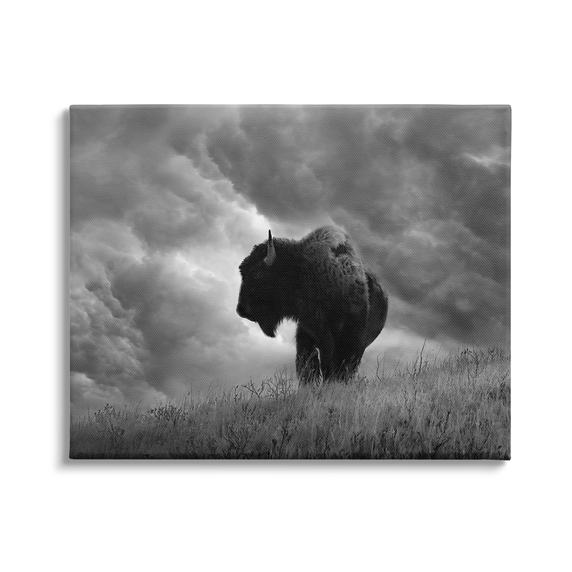 Stupell Industries Ox in Cloudy Landscape Animals & Insects Photography Gallery Wrapped Canvas Art Print Wall Art, 48 x 36