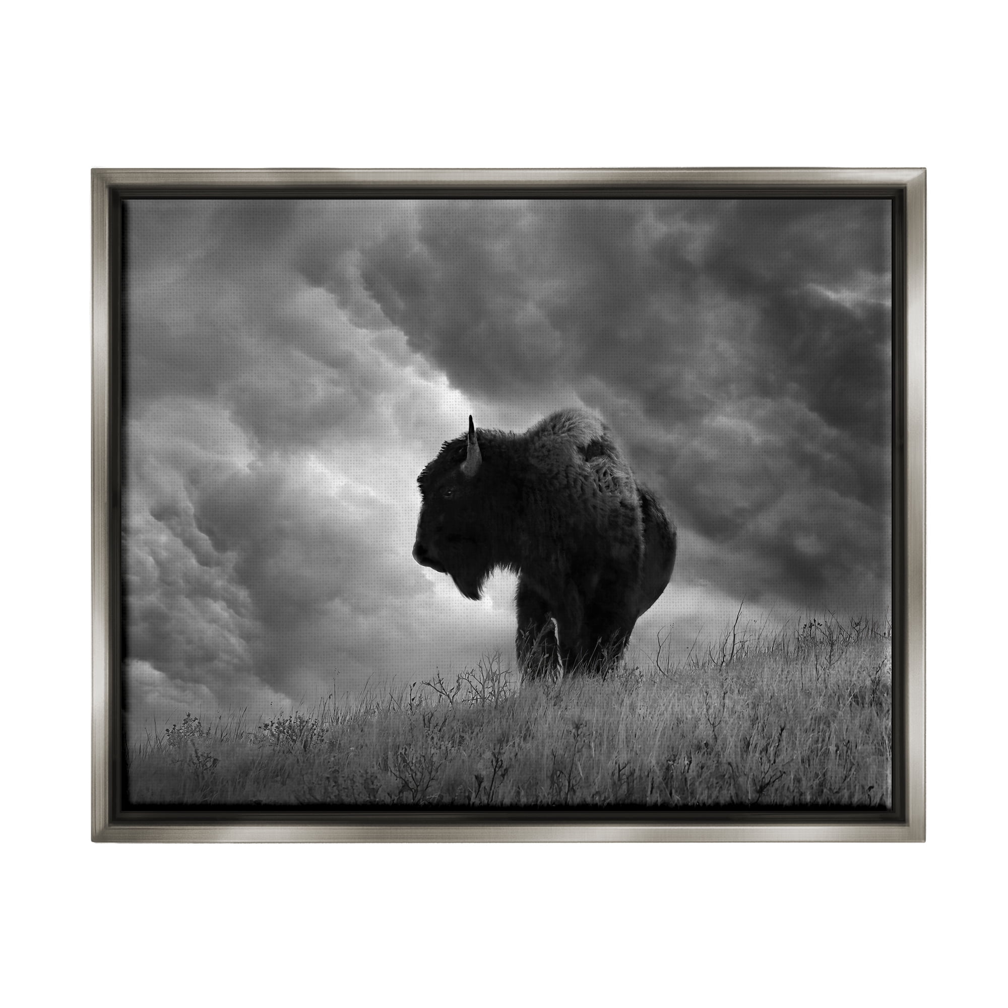 Stupell Industries Ox in Cloudy Landscape Animals & Insects Photography Gray Floater Framed Canvas Art Print Wall Art, 21 x 17