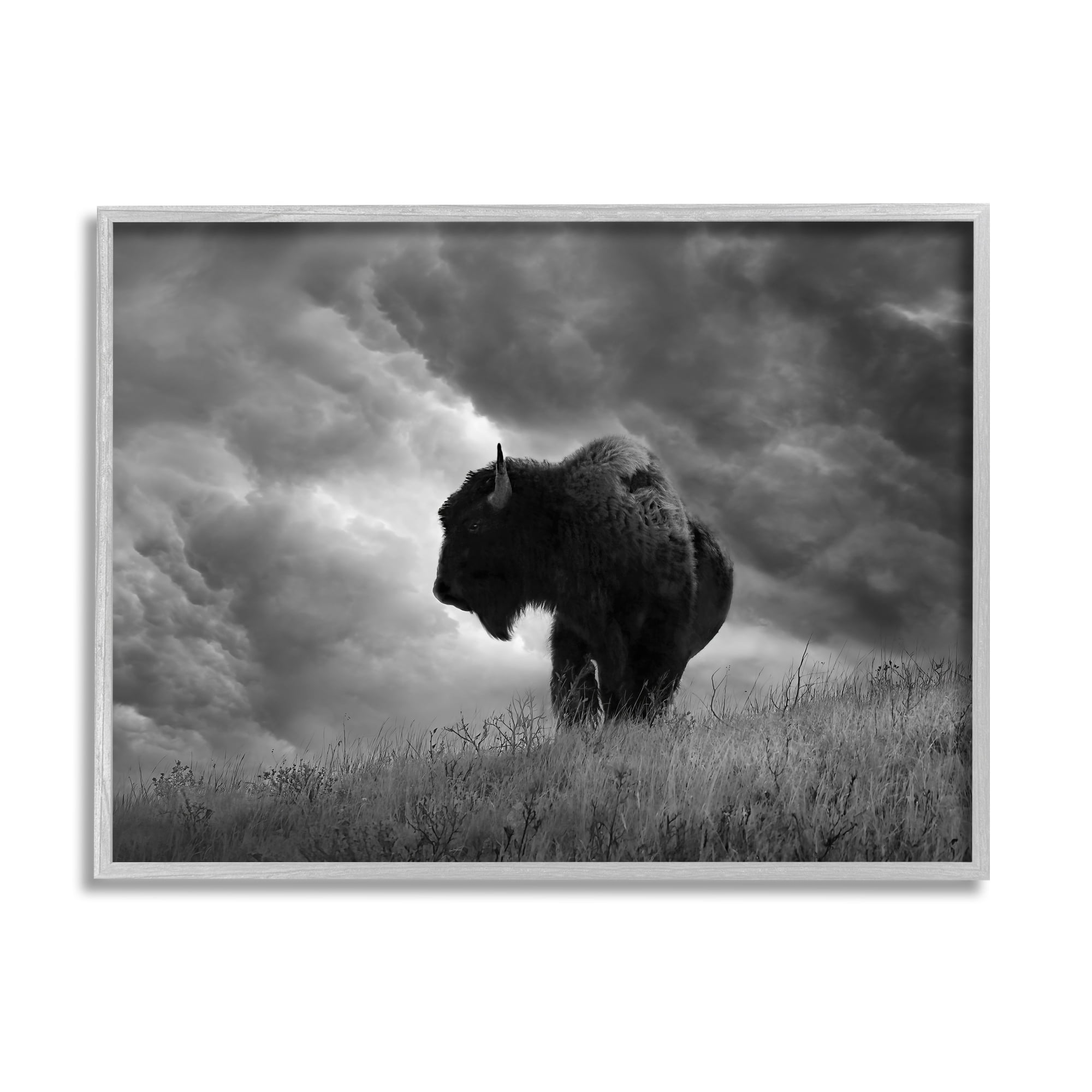Stupell Industries Ox in Cloudy Landscape Animals & Insects Photography Gray Framed Art Print Wall Art, 20 x 16