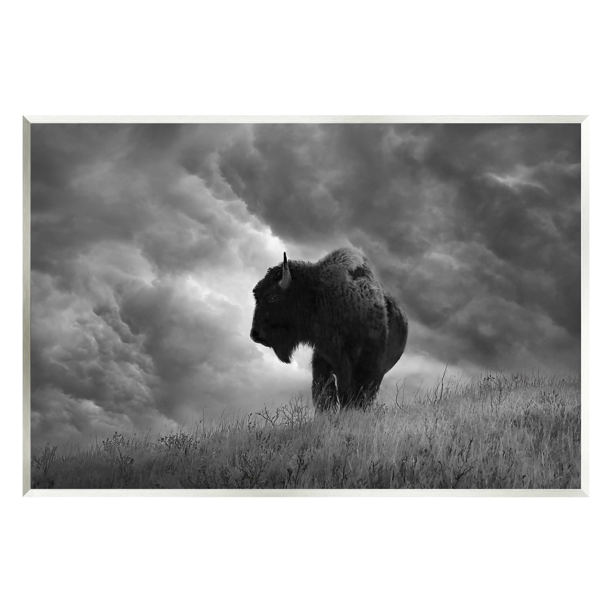 Stupell Industries Ox in Cloudy Landscape Animals & Insects Photography Unframed Art Print Wall Art, 19 x 13