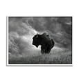 thumbnail image 1 of Stupell Industries Ox in Cloudy Landscape Animals & Insects Photography White Framed Art Print Wall Art, 30 x 24, 1 of 9