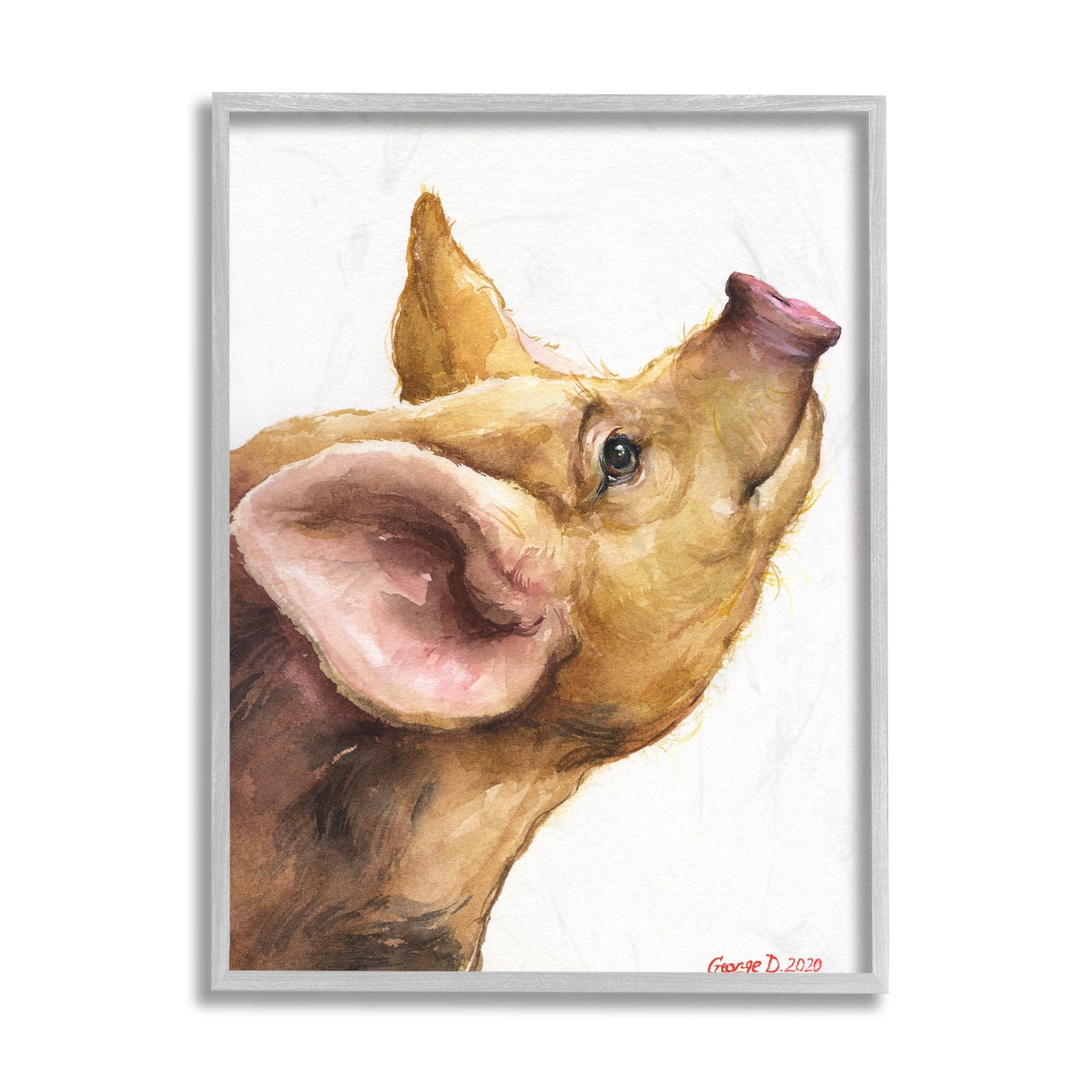 Stupell Industries Oxford Sandy Piglet Adorable Farm Animal Gaze Grey Framed, 16 x 20, Design by George Dyachenko