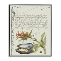 Stupell Industries Oyster & Plant Study Text & Numbers Painting Black Framed Art Print Wall Art, 11 x 14