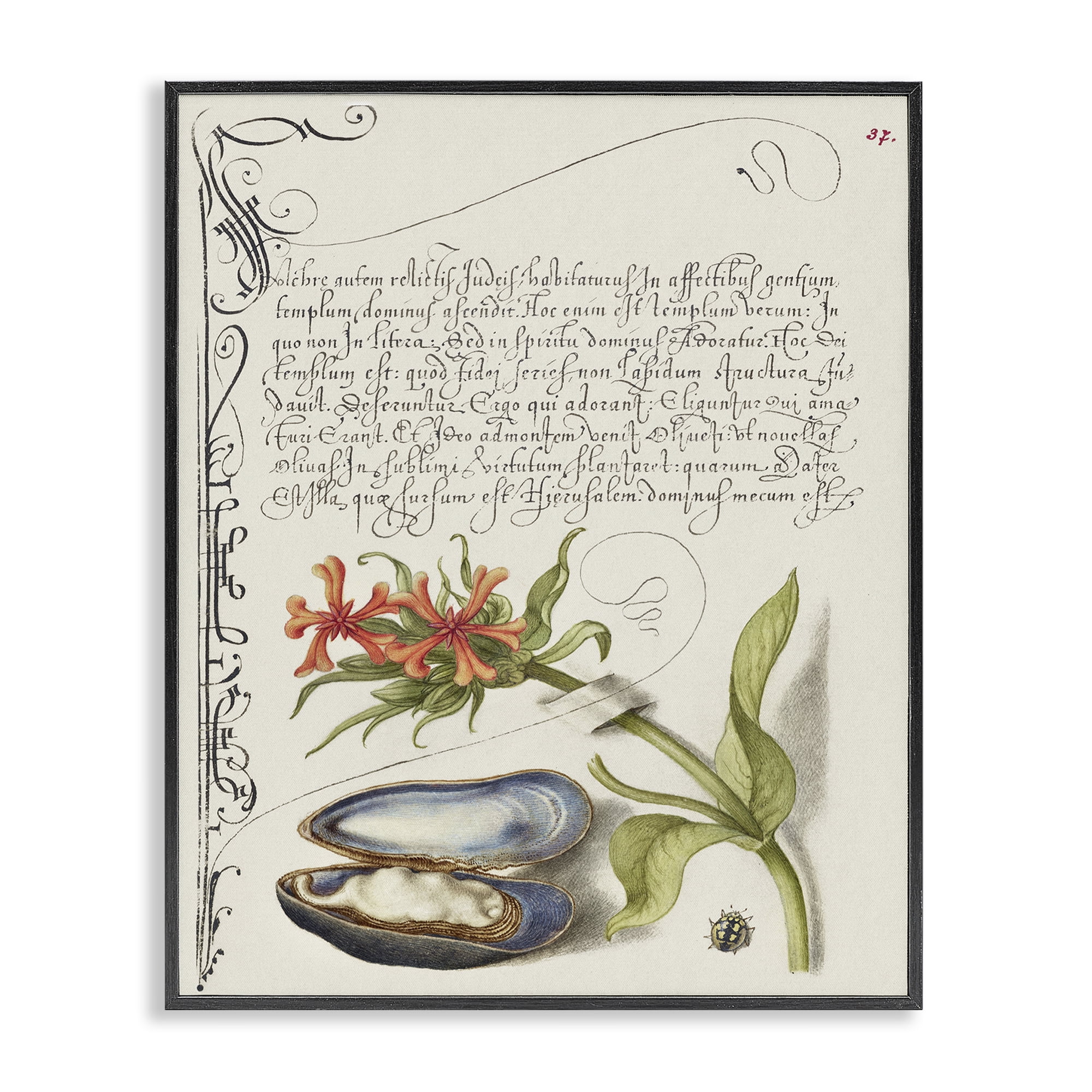 Stupell Industries Oyster & Plant Study Text & Numbers Painting Black Framed Art Print Wall Art, 24 x 30