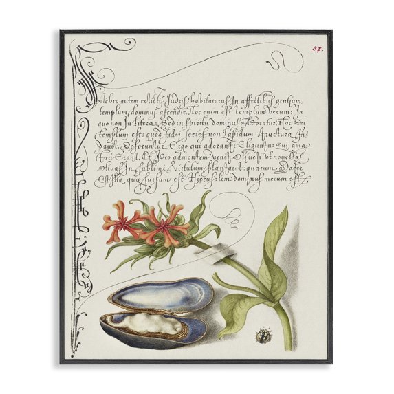 Stupell Industries Victorian Oyster & Plant Study Black Framed Giclee Art, 24 x 30, by Melissa Wang