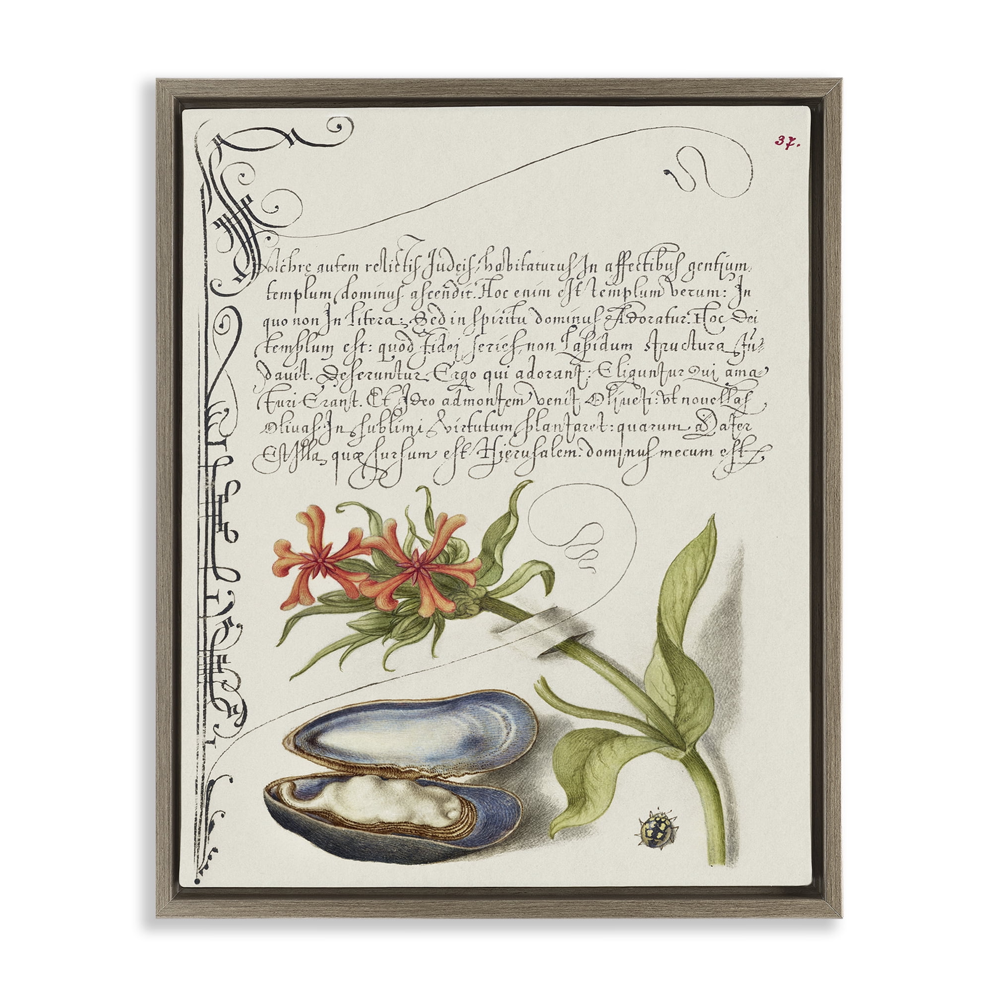 Stupell Industries Oyster & Plant Study Text & Numbers Painting Brown Floater Framed Canvas Art Print Wall Art, 17 x 21