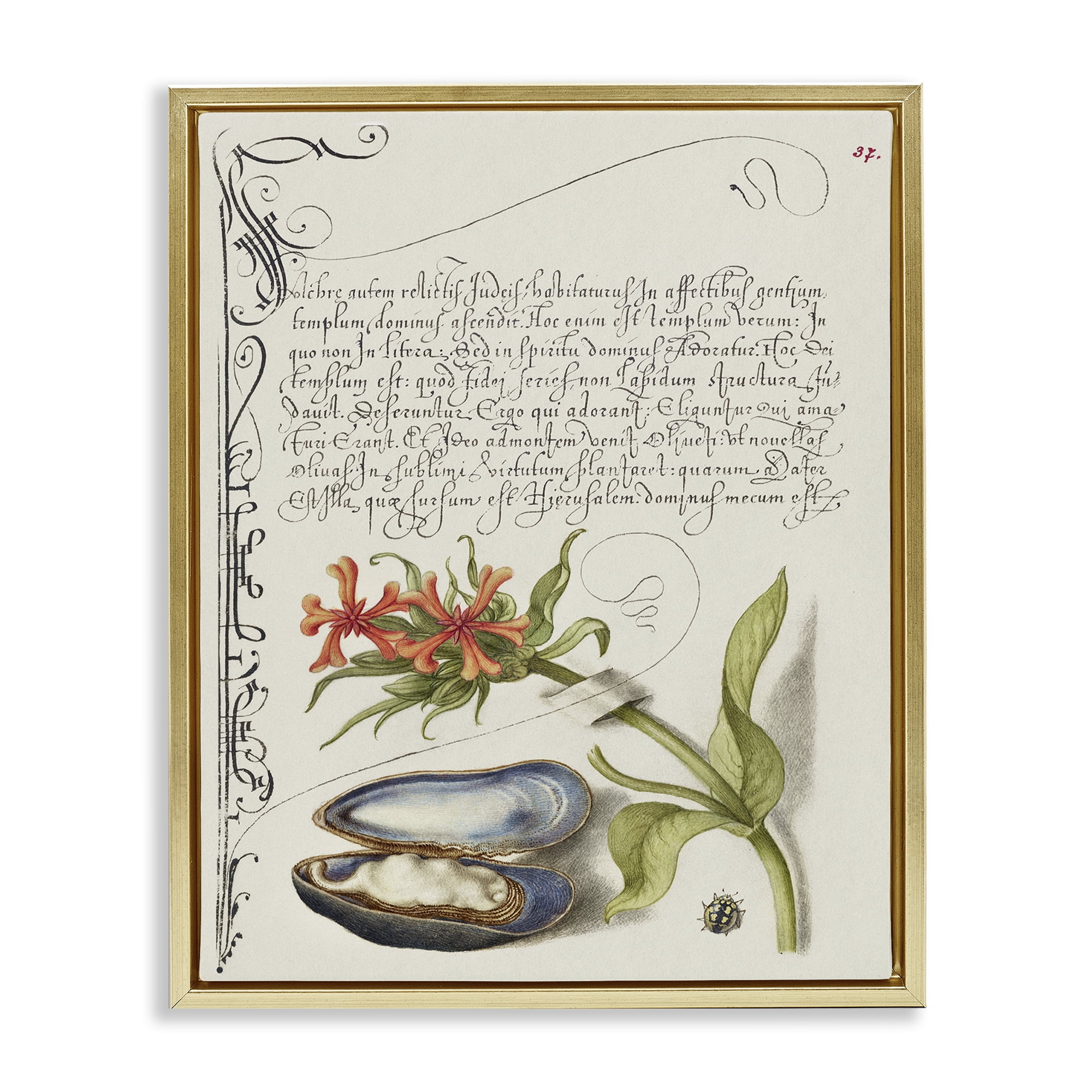 Stupell Industries Oyster & Plant Study Text & Numbers Painting Gold Floater Framed Canvas Art Print Wall Art, 25 x 31
