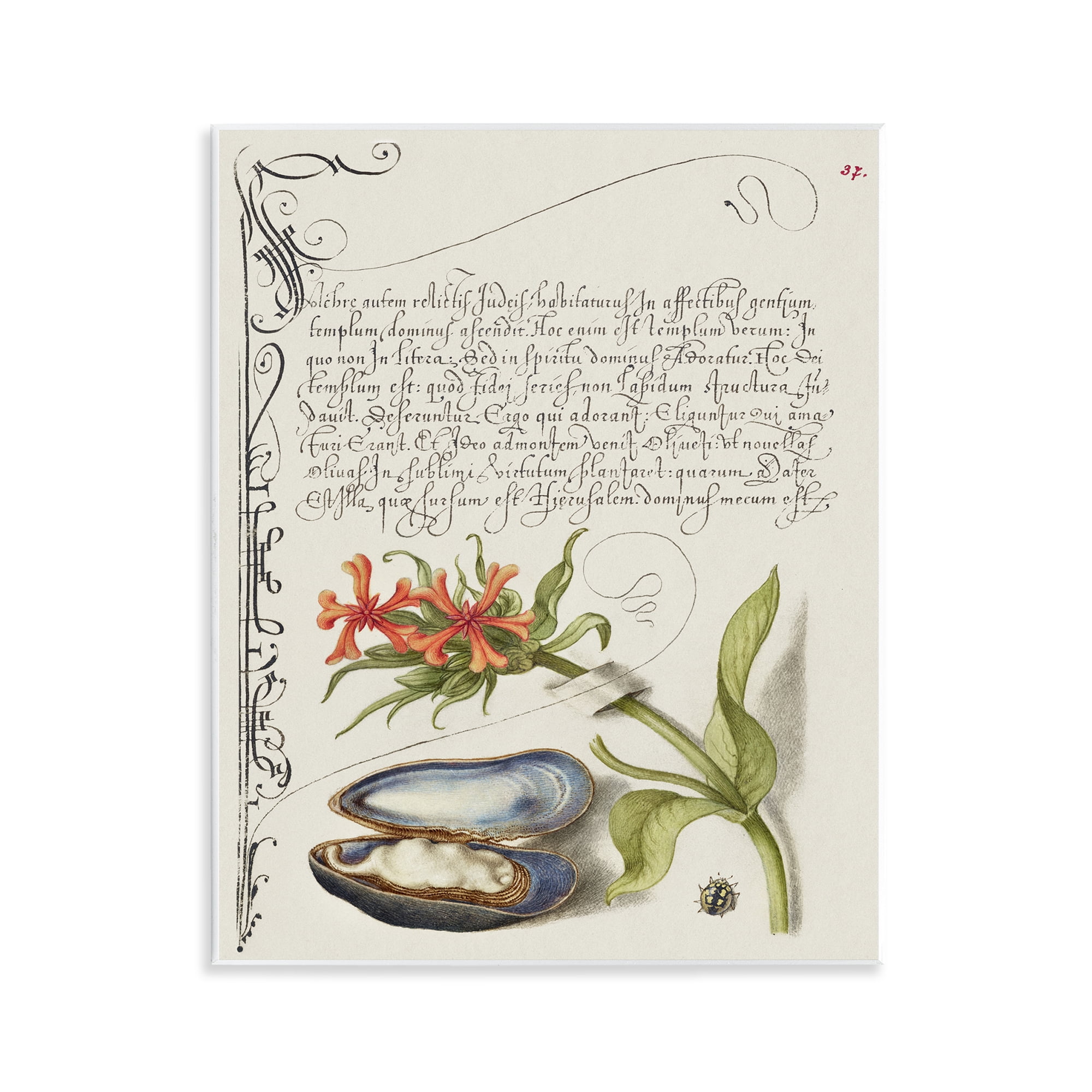 Stupell Industries Oyster & Plant Study Text & Numbers Painting Unframed Art Print Wall Art, 11 x 14