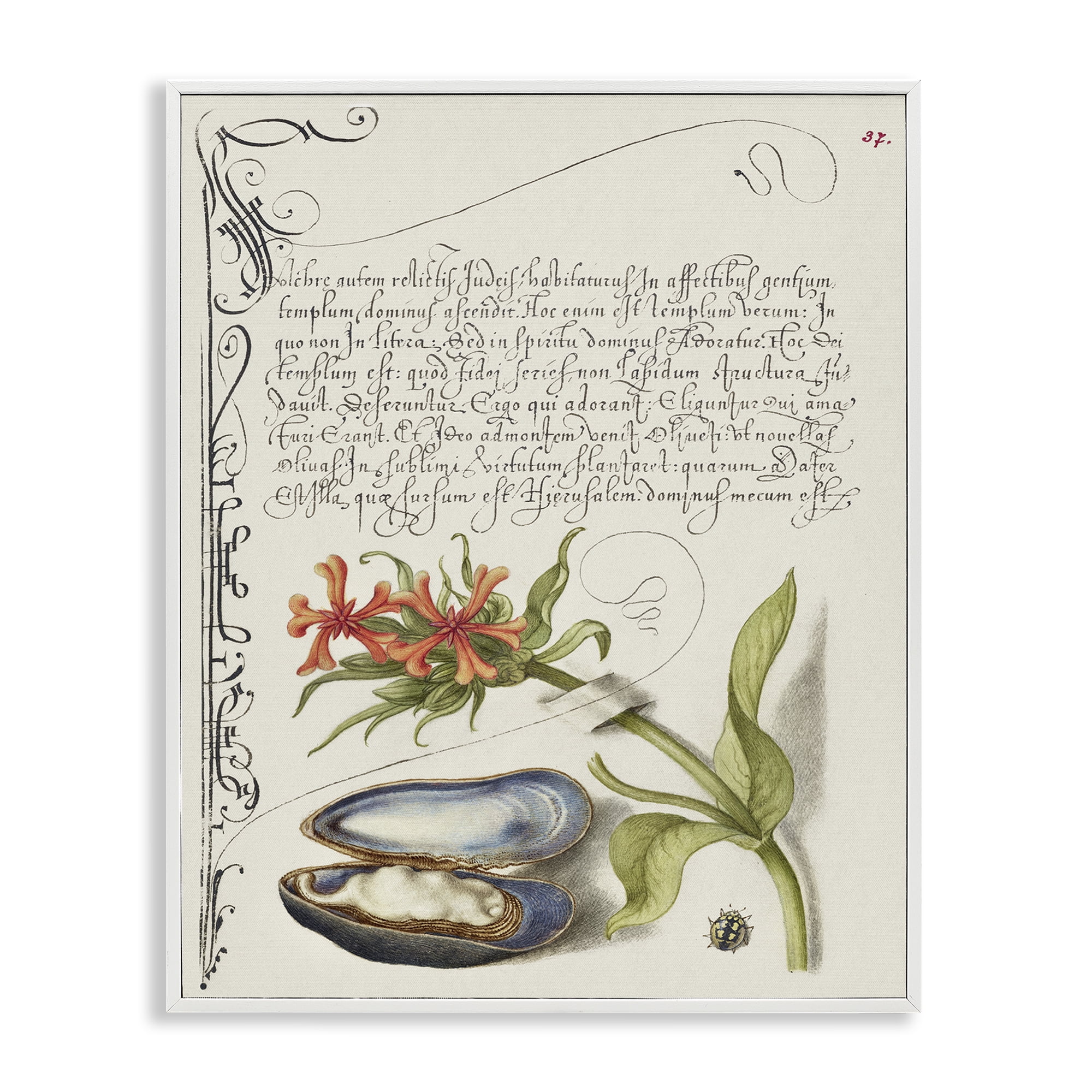 Stupell Industries Oyster & Plant Study Text & Numbers Painting White Framed Art Print Wall Art, 11 x 14