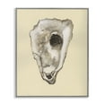 thumbnail image 1 of Stupell Industries Traditional Oyster Sea Creature Gray Framed Giclee Art, 16 x 20, by Michael Willett, 1 of 8