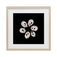thumbnail image 1 of Stupell Industries Contemporary Oyster Shells Symmetry Birch Framed Print Under Glass, 13 x 13, by Beth Adoette, 1 of 8