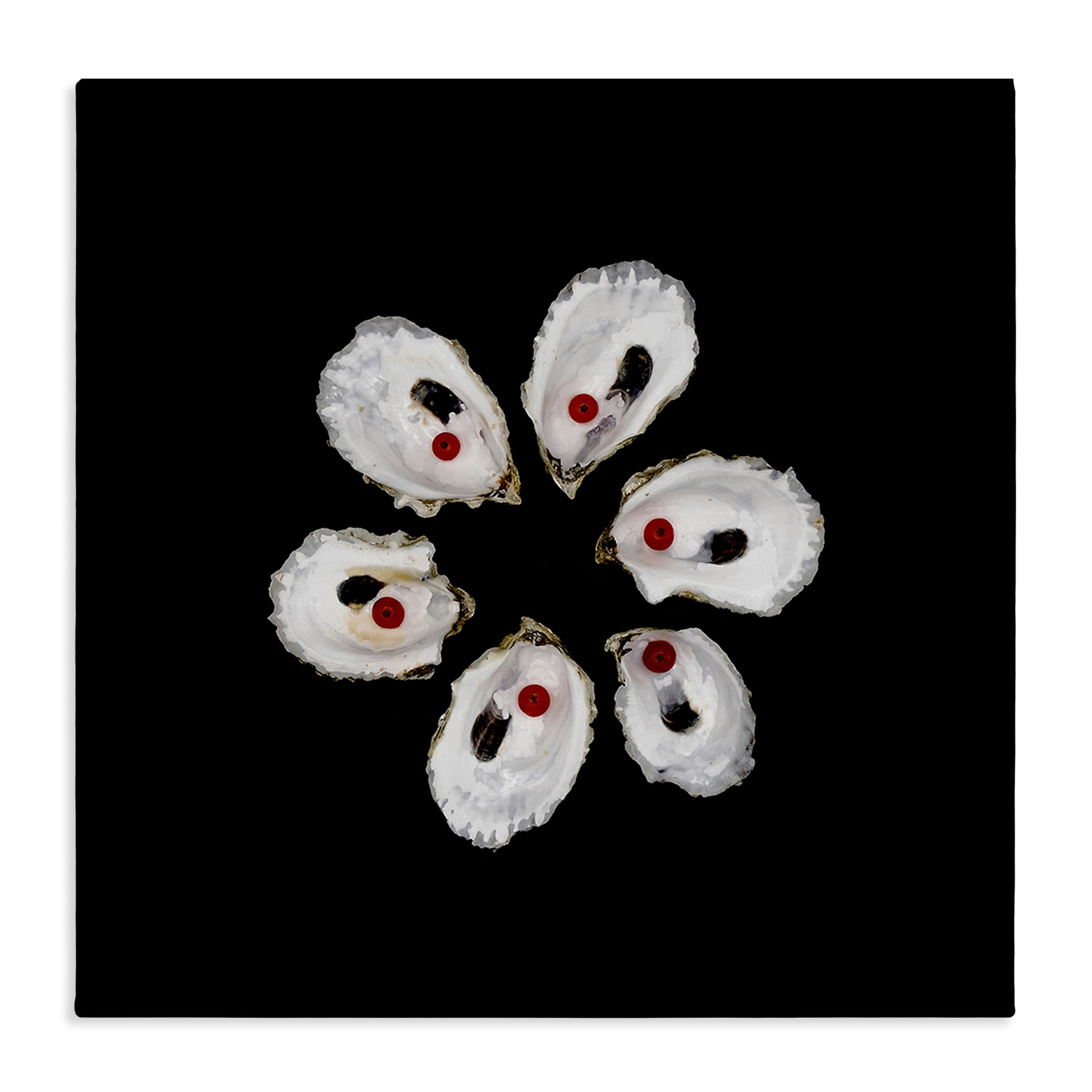 Stupell Industries Oyster Shells Symmetry Canvas Wall Art, design by Beth Adoette