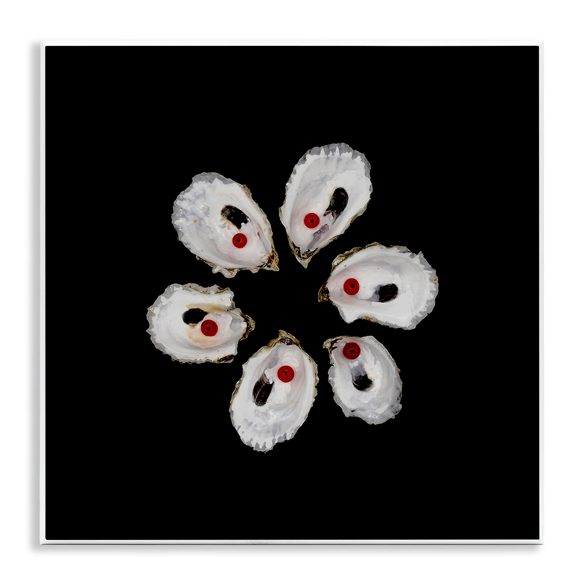 Stupell Industries Oyster Shells Symmetry Wall Plaque Art, design by Beth Adoette