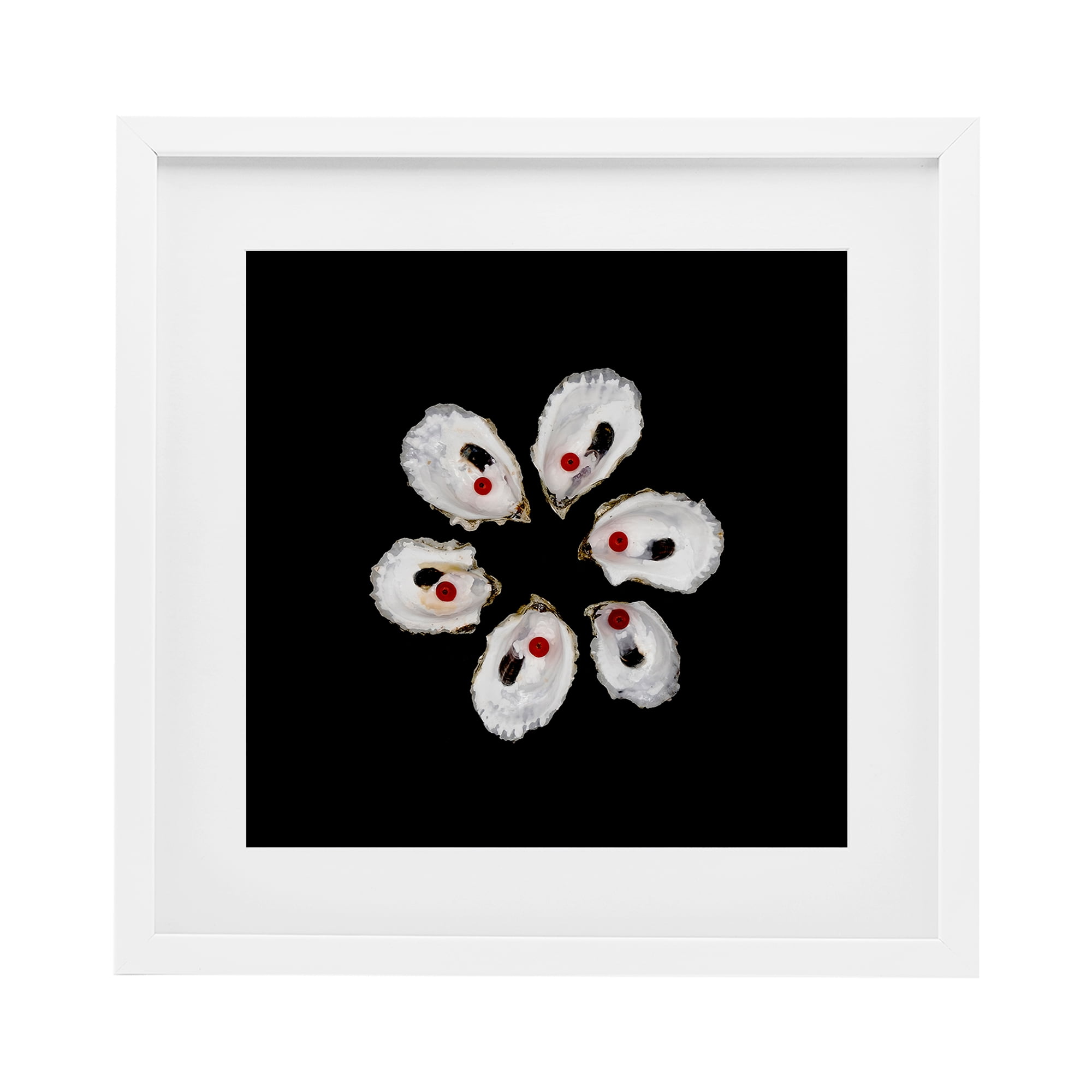 Stupell Industries Oyster Shells Symmetry White Framed Print Under Glass, design by Beth Adoette