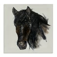 thumbnail image 1 of Stupell Industries Paint Stroke Black Horse Animals Painting Wrapped Canvas Art Print Wall Art, 17 x 17, 1 of 8