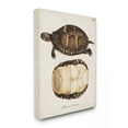 thumbnail image 1 of Stupell Industries Painted Turtle Shell Latin Scientific Animal Study Designed by Unknown Artist, 1 of 6