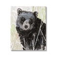 thumbnail image 1 of Stupell Industries Painterly Black Bear Abstract Forest Foliage Canvas Wall Art, 36 x 48, Design by Stellar Design Studio, 1 of 5