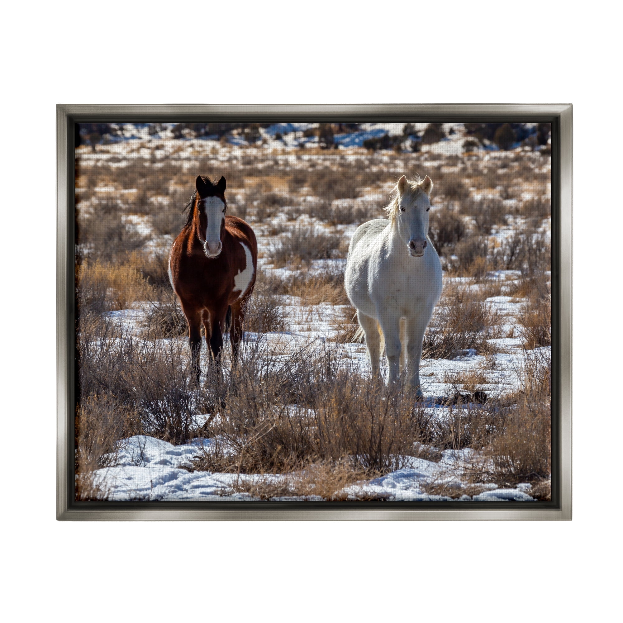 Stupell Industries Pair Horses Walking Through Snow Dusted Grassland Photograph Luster Gray Floating Framed Canvas Print Wall Art, Design by Jeff Poe Photography