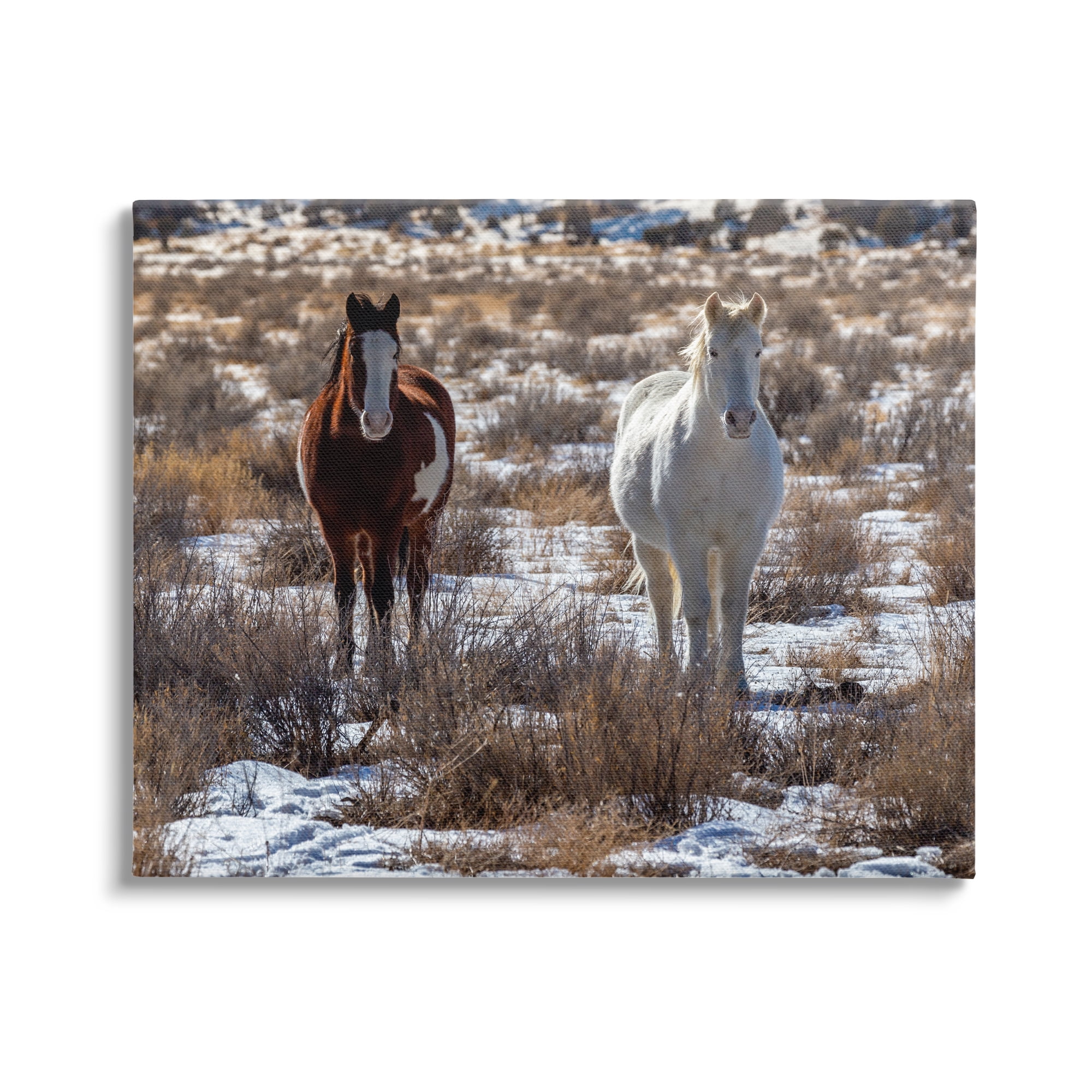Stupell Industries Pair Horses Walking Through Snow Dusted Grassland Photograph Gallery Wrapped Canvas Print Wall Art, Design by Jeff Poe Photography