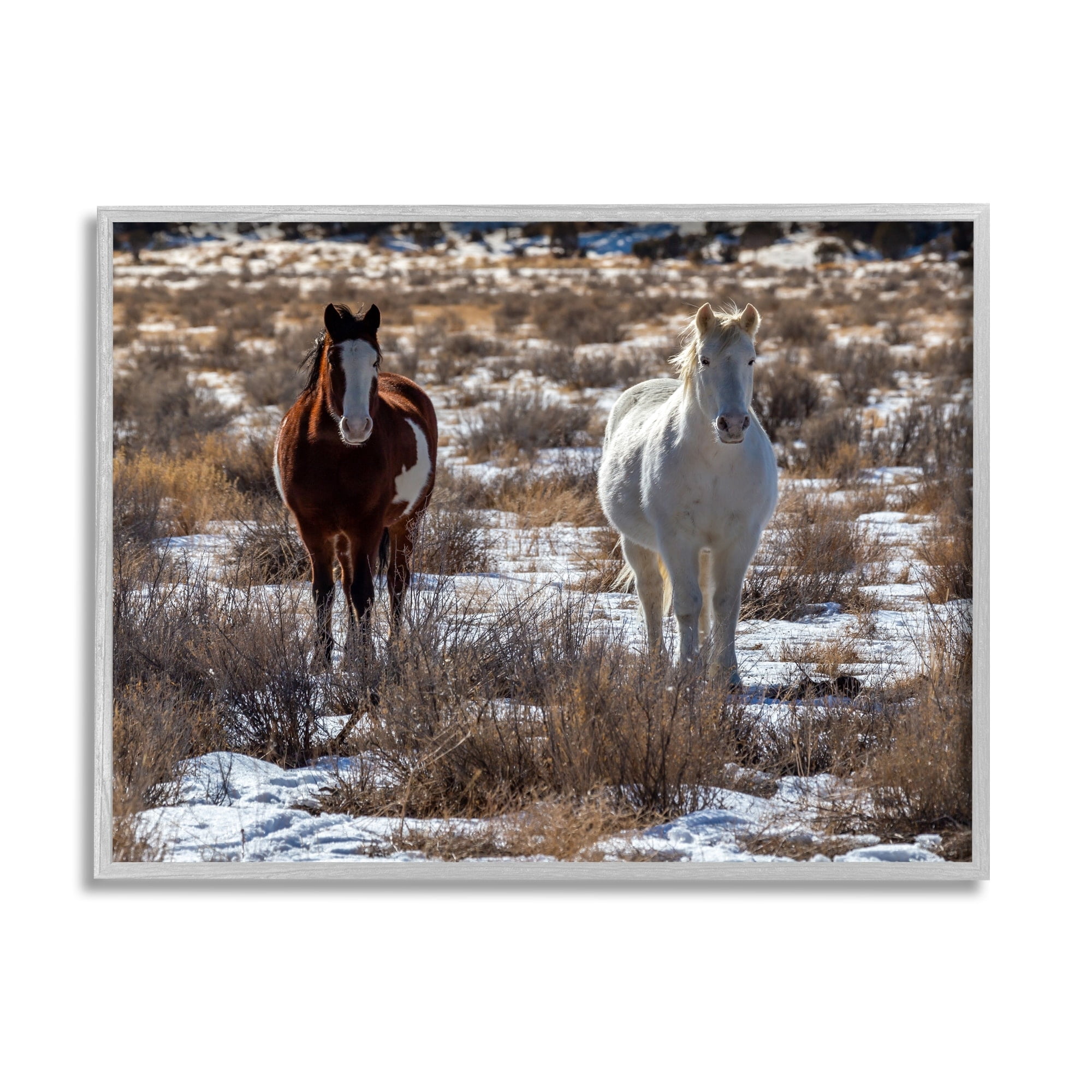 Stupell Industries Pair Horses Walking Through Snow Dusted Grassland Photograph Gray Framed Art Print Wall Art, Design by Jeff Poe Photography