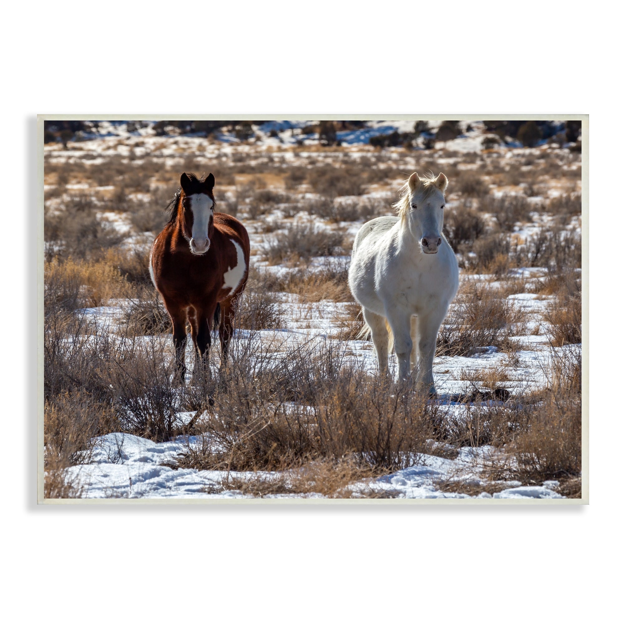 Stupell Industries Pair Horses Walking Through Snow Dusted Grassland Photograph Unframed Art Print Wall Art, Design by Jeff Poe Photography