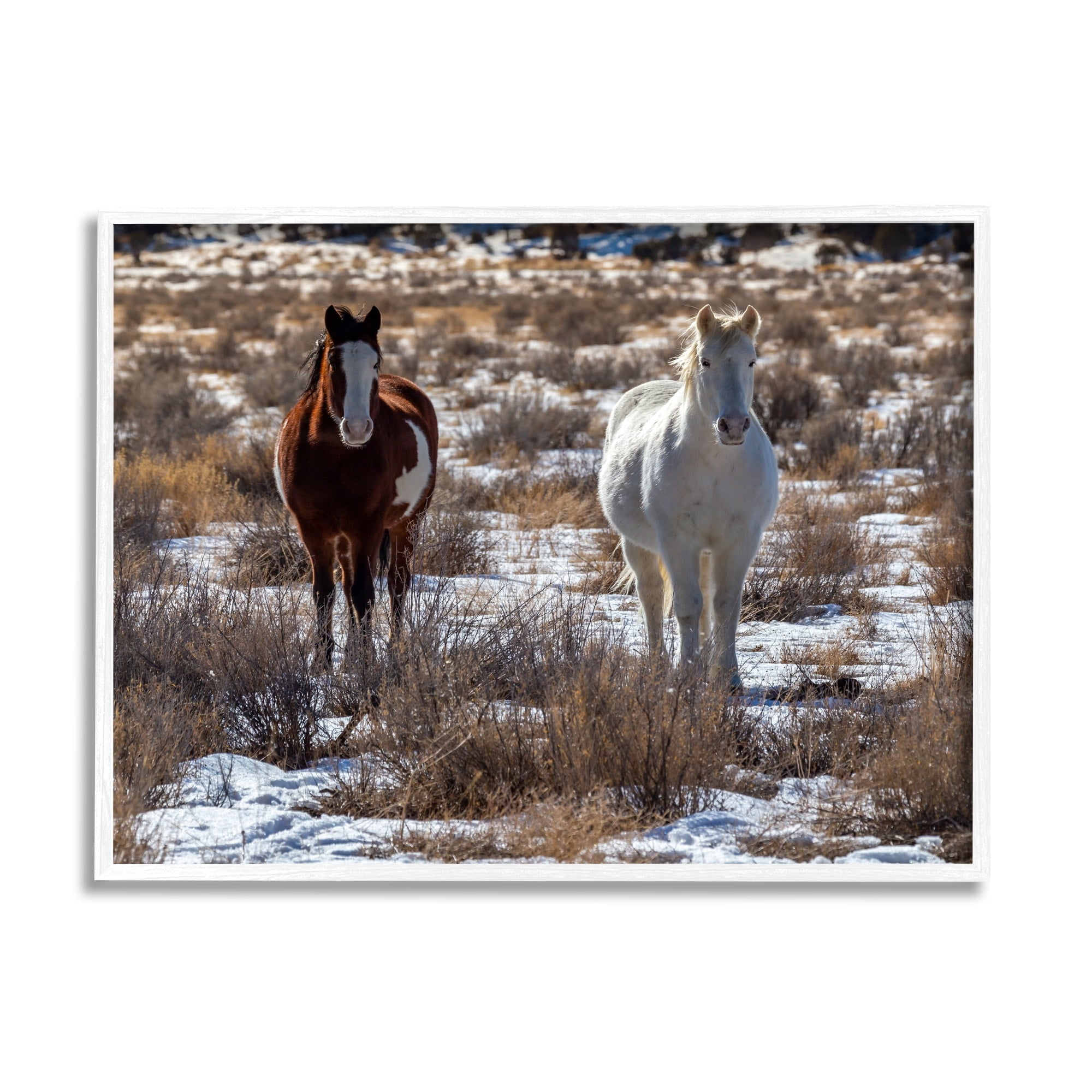 Stupell Industries Pair Horses Walking Through Snow Dusted Grassland Photograph White Framed Art Print Wall Art, Design by Jeff Poe Photography