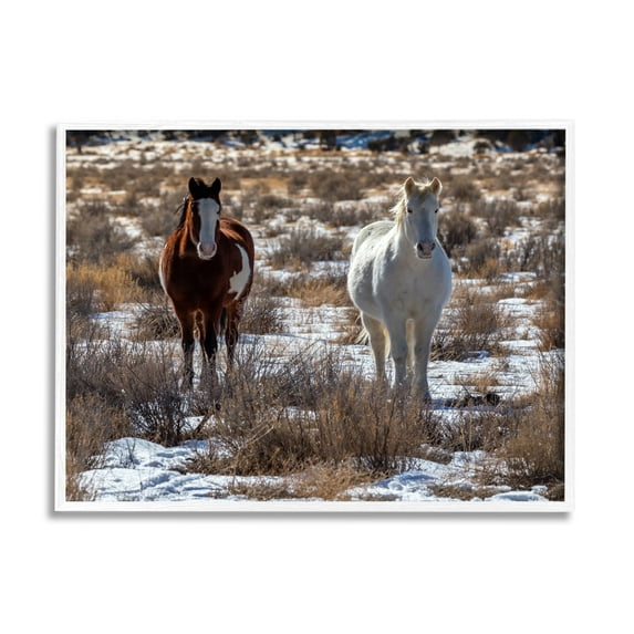 Stupell Industries Pair Horses Walking Through Snow Dusted Grassland Photograph White Framed Art Print Wall Art, Design by Jeff Poe Photography