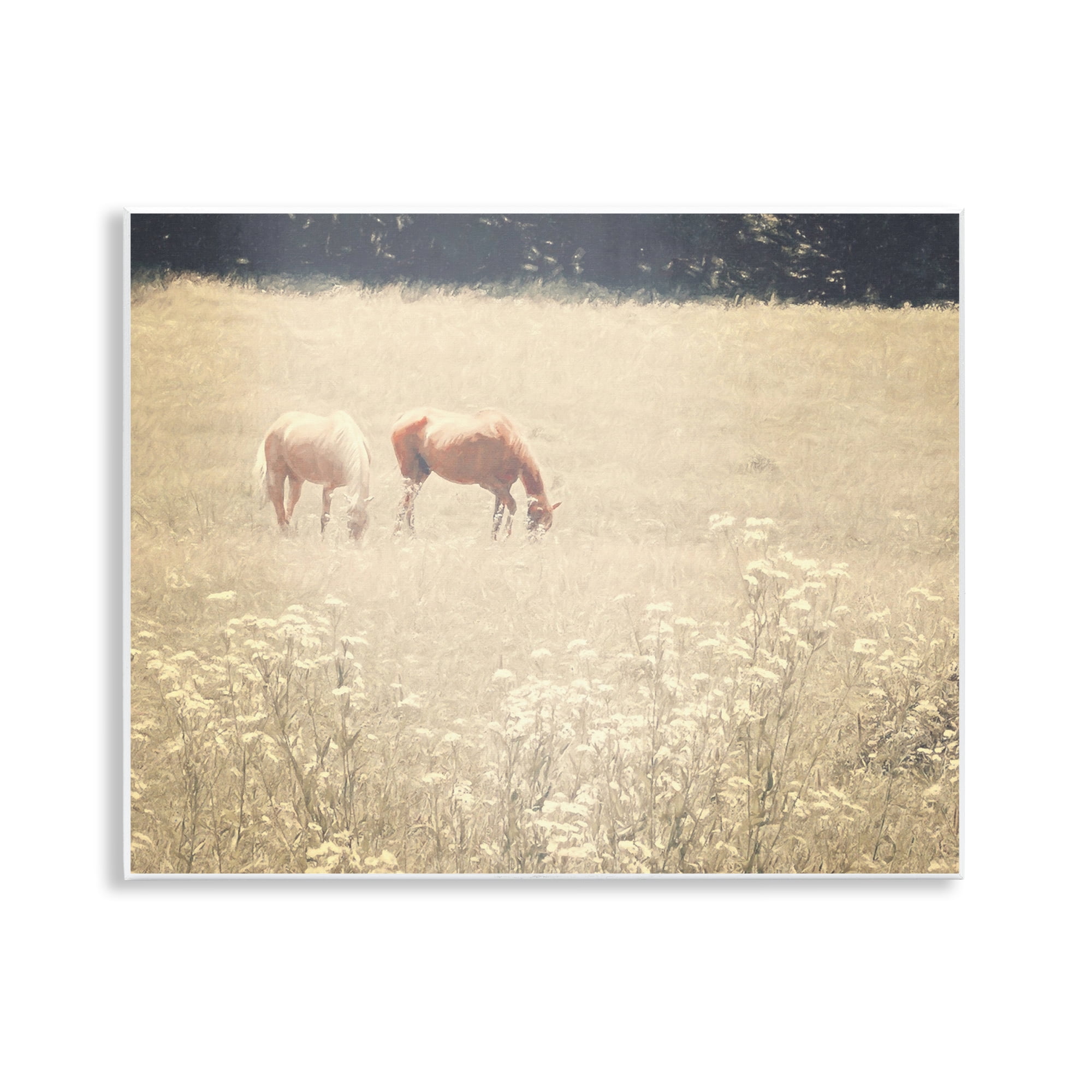 Stupell Industries Pair of Horses Grazing Landscape & Nature Photography Unframed Art Print Wall Art, 14 x 11